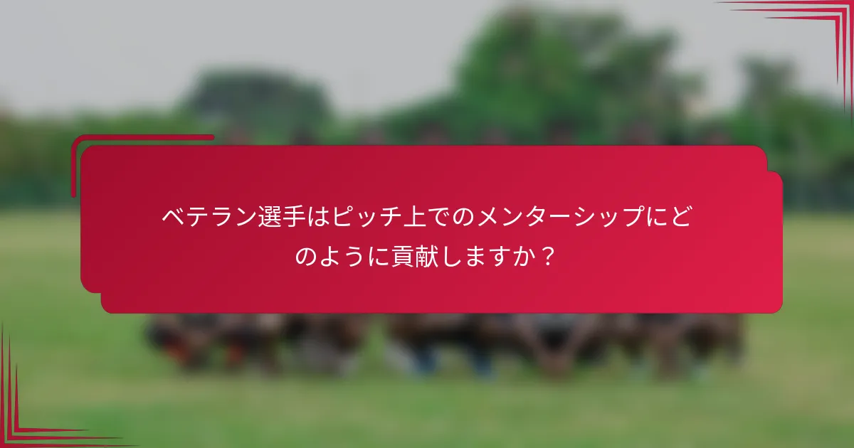 ベテラン選手はピッチ上でのメンターシップにどのように貢献しますか?